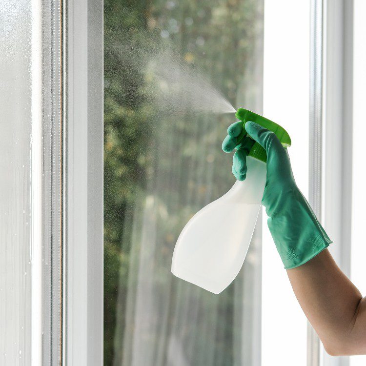 Window Cleaning Services in Marietta, GA Window Cleaning Services in Marietta, GA