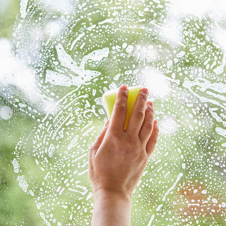 Window Cleaning Services in Marietta, GA Window Cleaning Services in Marietta, GA