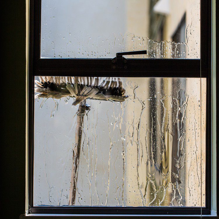 Window Cleaning Services in Marietta, GA Window Cleaning Services in Marietta, GA