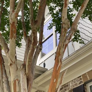 Window Cleaning Services in Marietta, GA
